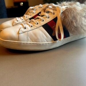 Gucci Sneakers